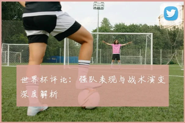 世界杯评论:强队表现与战术演变深度解析