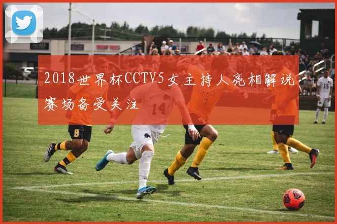 2018世界杯CCTV5女主持人亮相解说赛场备受关注