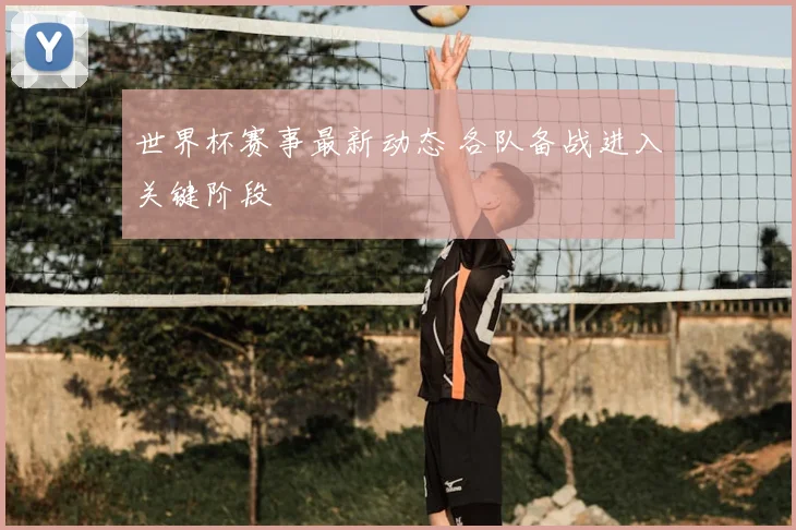 世界杯赛事最新动态 各队备战进入关键阶段