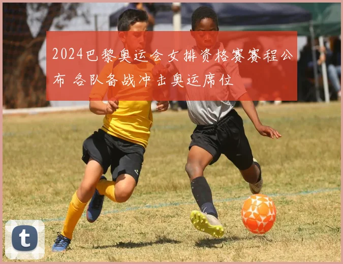 2024巴黎奥运会女排资格赛赛程公布 各队备战冲击奥运席位